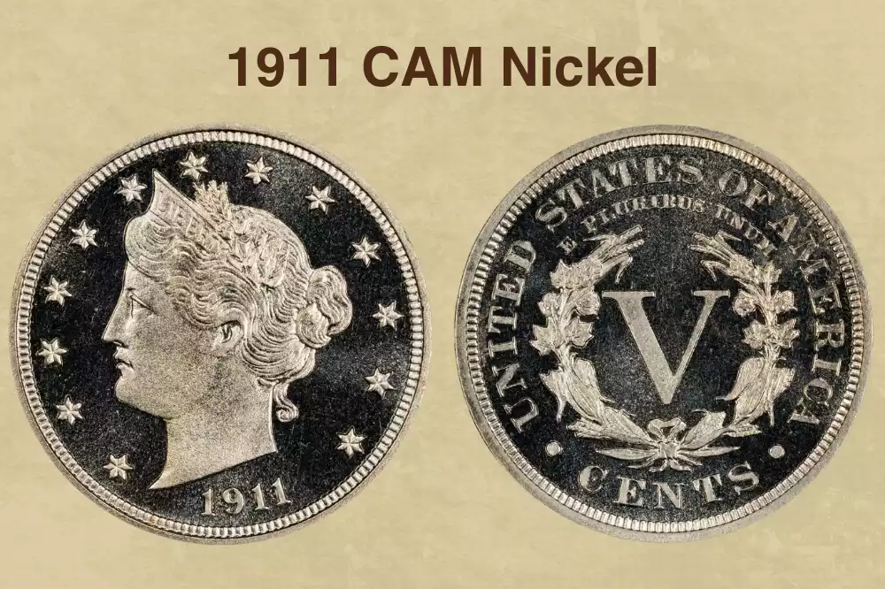 1911 proof Liberty Head Nickel in NGC slab showing Cameo contrast mirror fields and frosted portrait